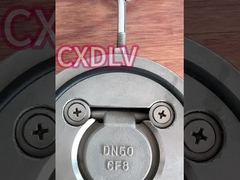 Valvola di controllo di oscillazione a singolo disco per wafer industriali