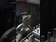 fabbrica di riprese in diretta