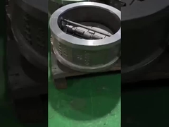 Valvola di controllo a doppia piastra