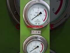 Prova di pressione della valvola a sfera in acciaio inossidabile PN16