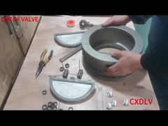 Assemblaggio di valvole di controllo a doppia piastra per wafer