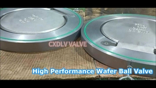 Valvola di ritegno wafer oscillante a piastra singola, sede in Viton