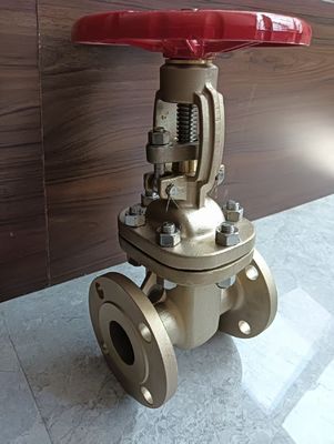 Valvola di ingresso a ruota a mano con estremità di flange CF8M in acciaio inossidabile da 150LB per il controllo dei fluidi e un'operazione facile