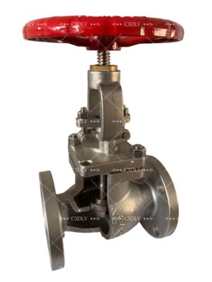 Valvola di ingresso a ruota a mano con estremità di flange CF8M in acciaio inossidabile da 150LB per il controllo dei fluidi e un'operazione facile