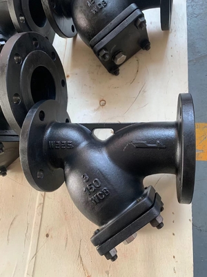 Connessione della flangia CF8/CF8M DN 100