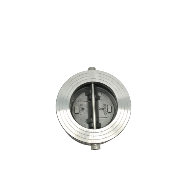 Valvola di ritegno a doppia piastra in acciaio inossidabile con resistenza alle alte temperature per acqua, vapore, olio e gas